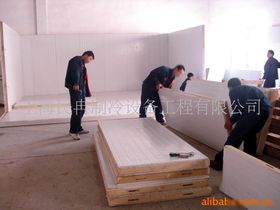 冷庫(kù)板選購(gòu)指南 價(jià)格、廠家與網(wǎng)絡(luò)工程安裝設(shè)計(jì)一體化解決方案